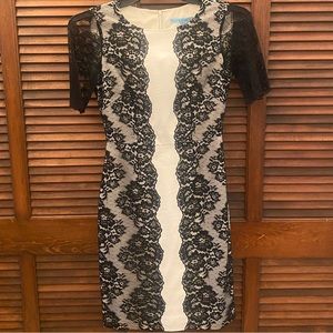 Gorgeous Antonio Melani dress-only worn once